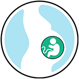 беременностей после первой попытки в криоцикле